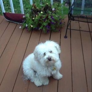 Meet your Posher, Cindy kevin